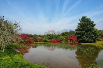 关于春节晚会的作文（《美丽的春节》）