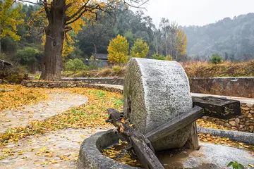 关于生活的日常作文（《感悟生活》）