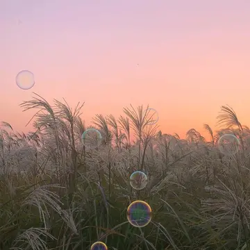 光芒万丈的励志文案（特别经典的励志短句）