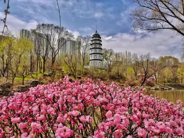 《春天总百花争艳》（关于畅想春天的作文精选）