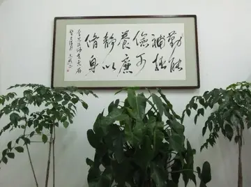 勤能补拙作文600字（快乐向前）