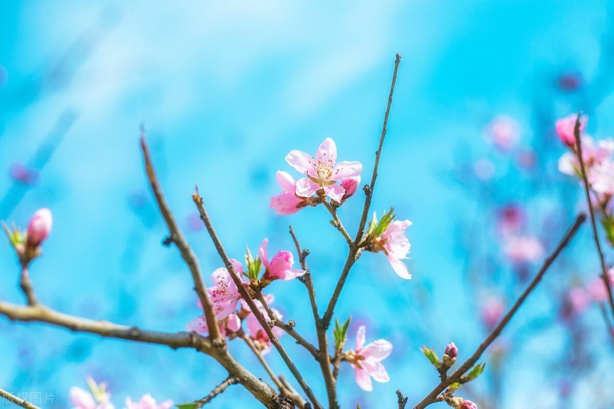 永不言弃的精选句子（充满了正能量说说）