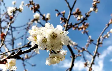 春天比赛的话题优秀作文（《春天的运动会》）