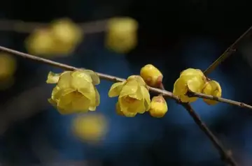 《那个冬天并不冷》（关于温暖冬天的作文精选）