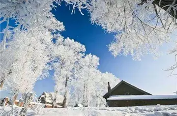 冬天雪景的话题优秀作文（《初冬的第一场雪》）