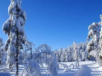 有关冬天雪景的作文精选范例（《初冬的第一场雪》）