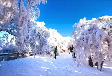 有关冬天雪景的作文精选范例（《初冬的第一场雪》）