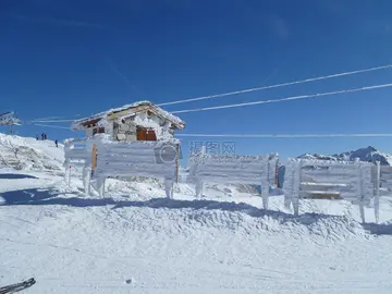 《初冬的第一场雪》（关于冬天雪景的作文精选）