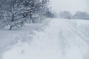 《冬天带来了大雪》（关于雪白冬天的作文精选）