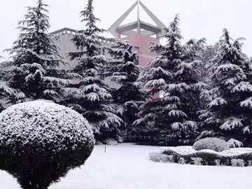 飘雪冬天的话题优秀作文（《冬天的第一场雪》）