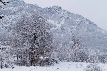 《那是冬天第一场雪》（关于飘雪冬天的作文精选）