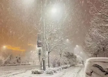 有关冬天雪至的作文精选范例（《冬天一场冬雪》）