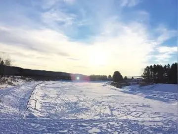 《冬天里的冬雪》（关于冬天雪至的作文精选）