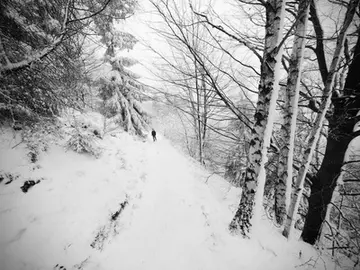 冬天雪花的话题优秀作文（《我爱冬天的飞雪》）