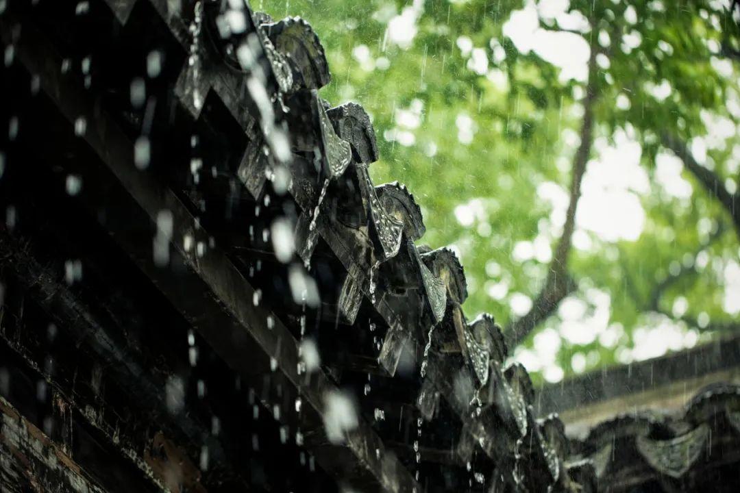 带有春雨的古诗词赏析（30句春雨诗词）