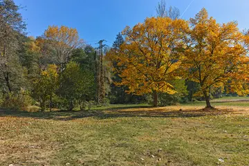 秋天的景色作文（《难忘的秋天》）