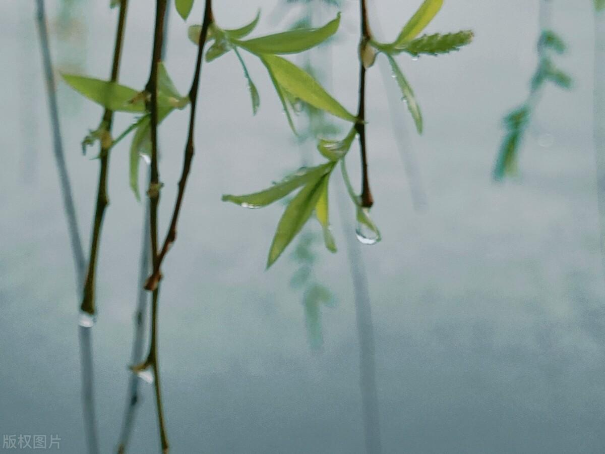 春雨古诗词200句鉴赏（著名的春天唯美诗词古句）