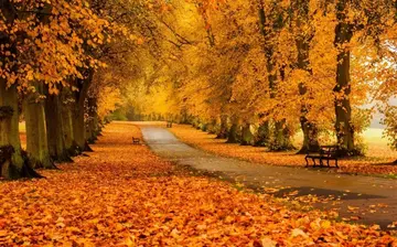 秋天的美景作文（《秋天的色彩》）