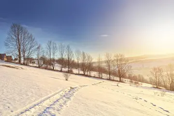 有关冬天下雪的作文精选范例（《冬天的景色真迷人》）