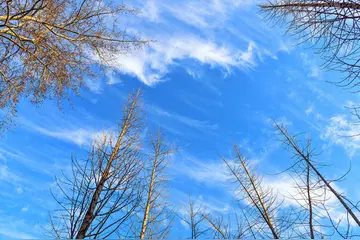 有关美丽冬天的作文精选范例（《冬天里的快乐》）