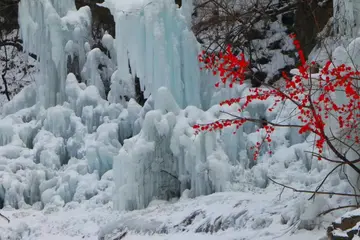 冬天雪地的话题优秀作文（《悄悄来临的冬天》）