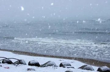 冬天雪地的话题优秀作文（《悄悄来临的冬天》）