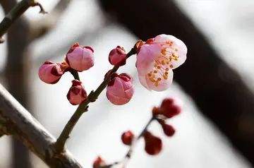 有关冬天来了的作文精选范例（《富含魅力的冬天》）