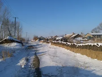 有关冬天临降的作文精选范例（《看看这冬天的雪景》）