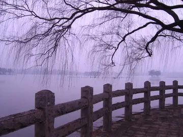 有关冬天临降的作文精选范例（《看看这冬天的雪景》）