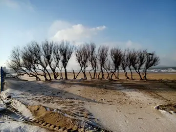 《看看这冬天的雪景》（关于冬天临降的作文精选）