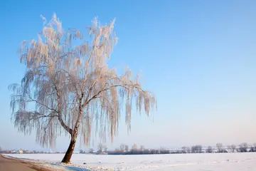 有关游玩冬天的作文精选范例（《冬天一起堆雪人》）