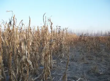 有关冬天暖流的作文精选范例（《冬天里的一缕阳光》）