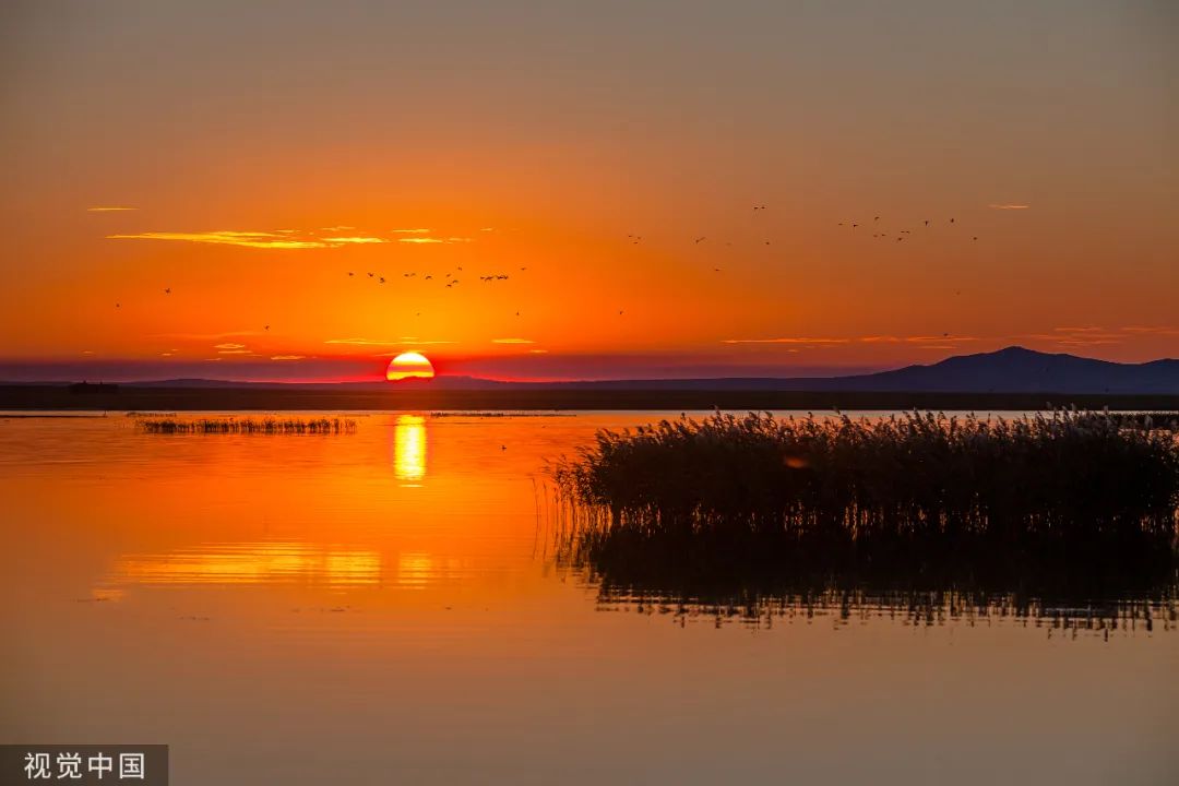 落日夕阳优美古诗赏析（描写夕阳的12首诗词）