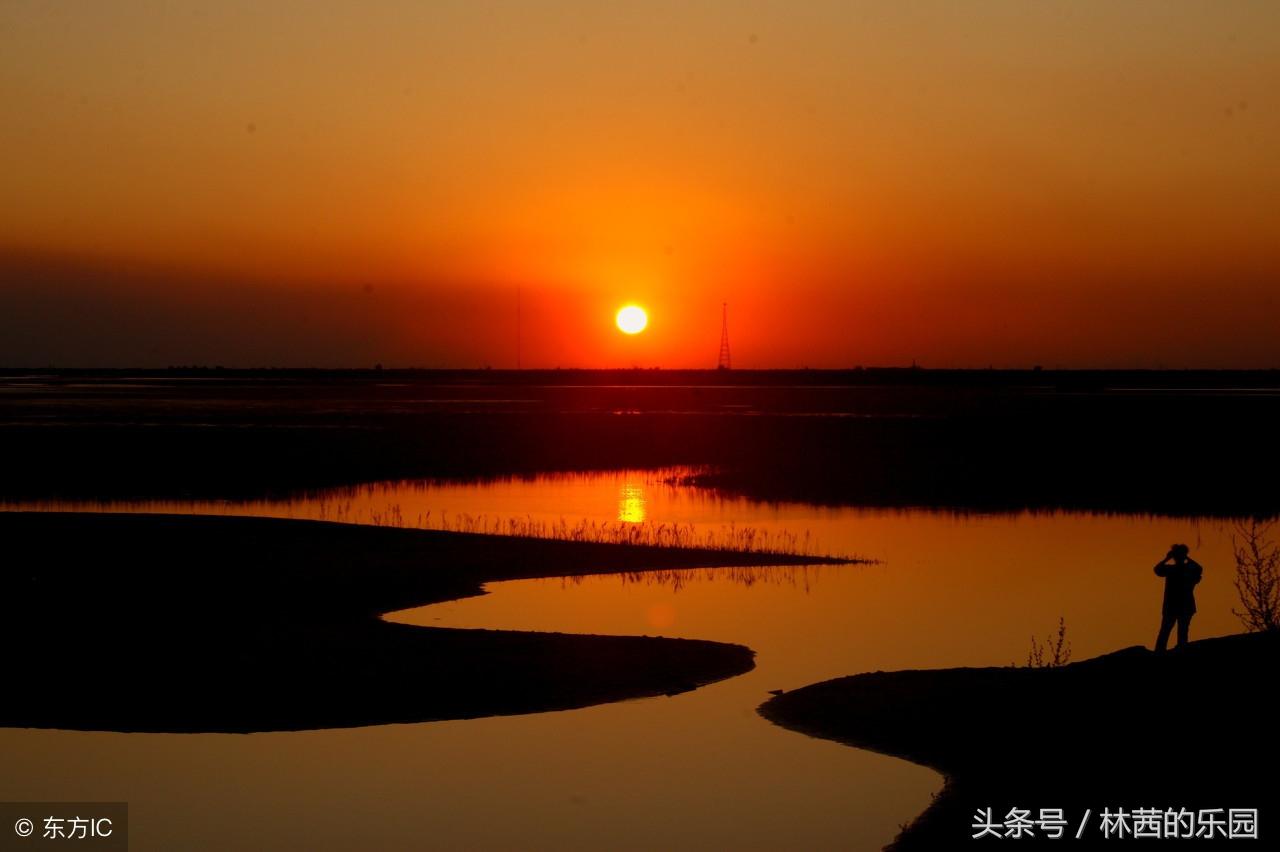 歌咏夕阳经典诗句大全（落日夕阳优美诗词）