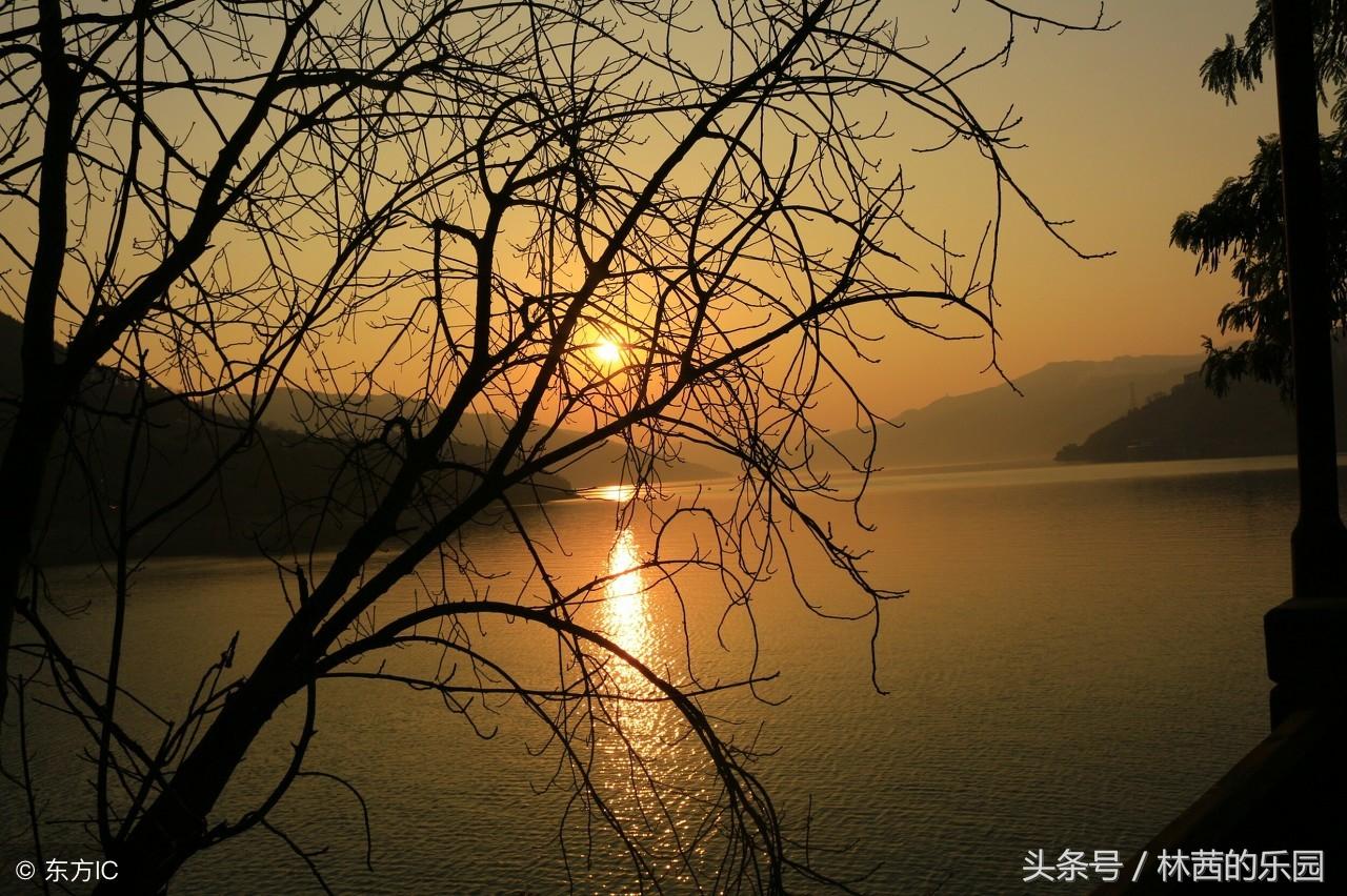 歌咏夕阳经典诗句大全（落日夕阳优美诗词）