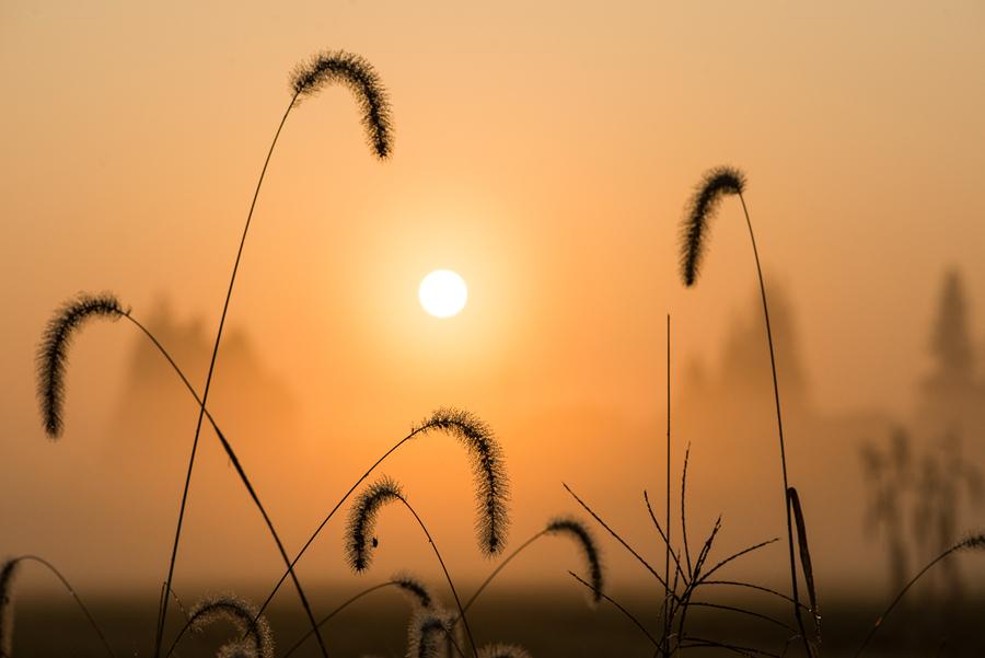 描写夕阳的十首古诗词（黄昏优美古诗词）