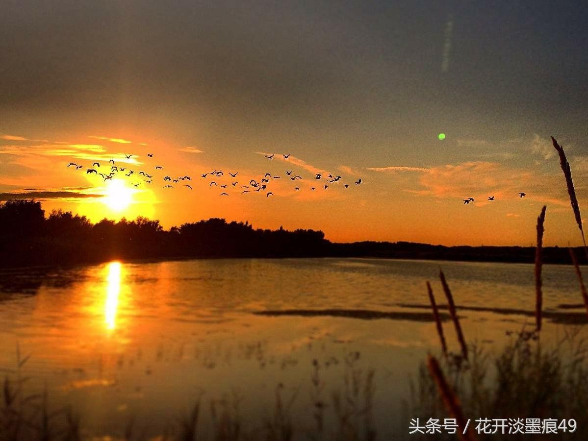 描写夕阳经典的唯美古诗词赏析（十首落日诗词）