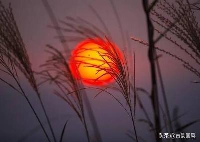 赞美夕阳经典的诗词（10首落日诗词）