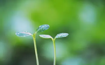 坚持到底的话题优秀作文（《坚持让我感受到快乐》）