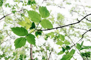 坚持的含义的话题优秀作文（《请相信坚持的力量》）