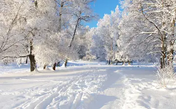 冬天打雪仗的优秀作文（《美丽的冬天》）