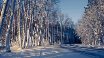 冬天打雪仗的优秀作文（《感悟冬天》）