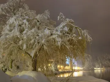 冬天打雪仗的优秀作文（《欢乐的冬天》）