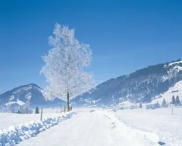 农村的冬天作文（《欢乐的冬天》）