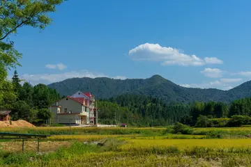 家乡的草莓优秀作文（《家乡的美景》）