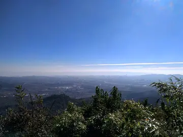 家乡的端午节作文（《家乡的美景》）