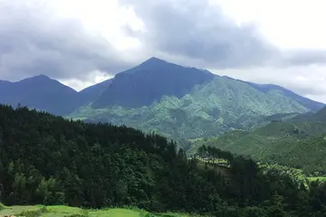 有关唯有坚持的作文精选范例（《人生需要坚持》）