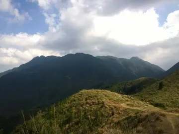 有关坚持内心的作文精选范例（《坚持做好自己》）