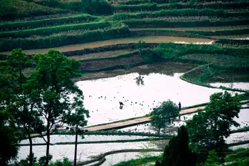 河南的家乡作文（《家乡的美景》）