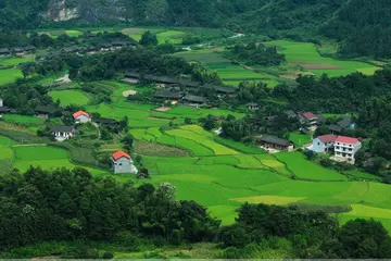 家乡的趣事作文（《家乡的美景》）